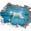 Polar Bear Wall Sticker - Animal Wall Decal, Self Adhesive Wall Sticker, Vinyl Wall Decor, Animal Print - Poster