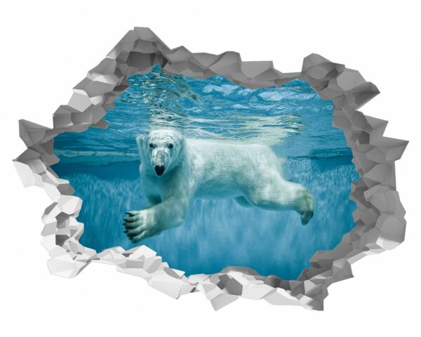 Polar Bear Wall Sticker - Animal Wall Decal, Self Adhesive Wall Sticker, Vinyl Wall Decor, Animal Print - Poster