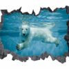 Polar Bear Wall Sticker - Animal Wall Decal, Self Adhesive Wall Sticker, Vinyl Wall Decor, Animal Print - Poster