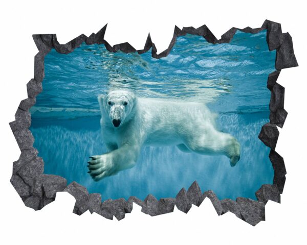 Polar Bear Wall Sticker - Animal Wall Decal, Self Adhesive Wall Sticker, Vinyl Wall Decor, Animal Print - Poster