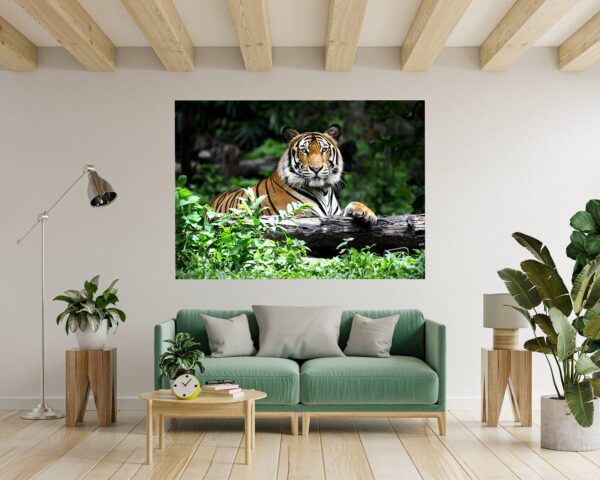 Tiger Wall Sticker - Animal Wall Decal, Self Adhesive Wall Sticker, Vinyl Wall Decor, Animal Print