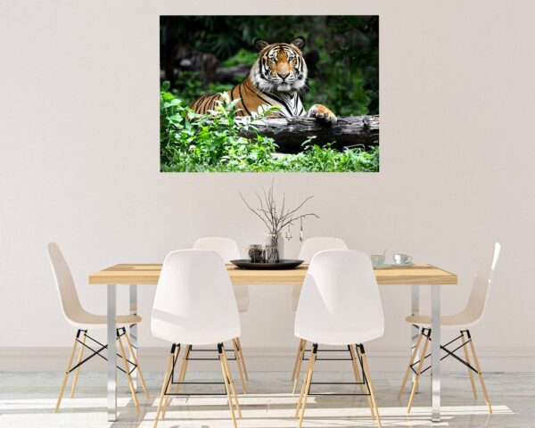 Tiger Wall Sticker - Animal Wall Decal, Self Adhesive Wall Sticker, Vinyl Wall Decor, Animal Print