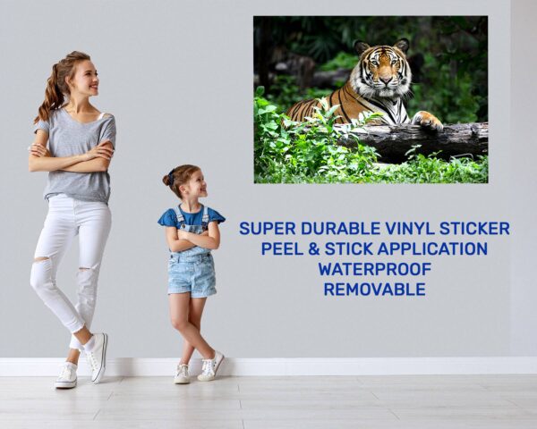 Tiger Wall Sticker - Animal Wall Decal, Self Adhesive Wall Sticker, Vinyl Wall Decor, Animal Print