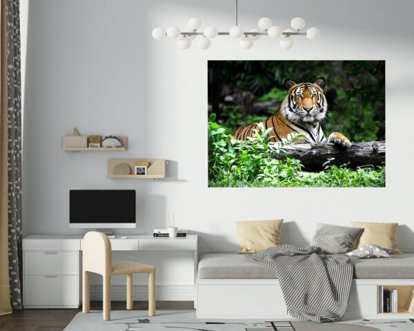 Tiger Wall Sticker - Animal Wall Decal, Self Adhesive Wall Sticker, Vinyl Wall Decor, Animal Print