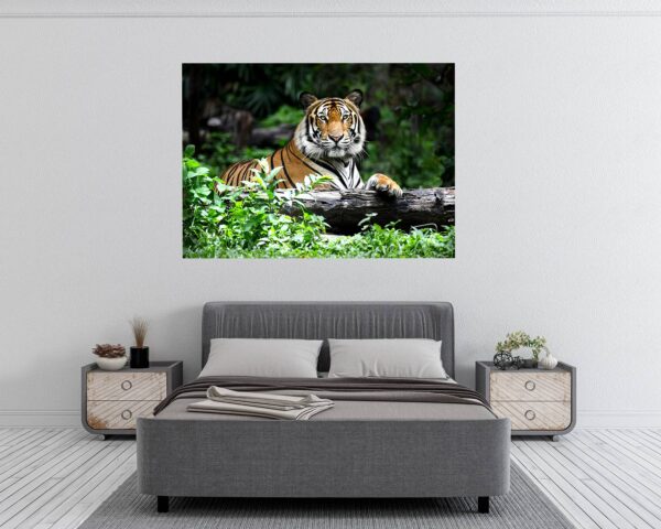 Tiger Wall Sticker - Animal Wall Decal, Self Adhesive Wall Sticker, Vinyl Wall Decor, Animal Print