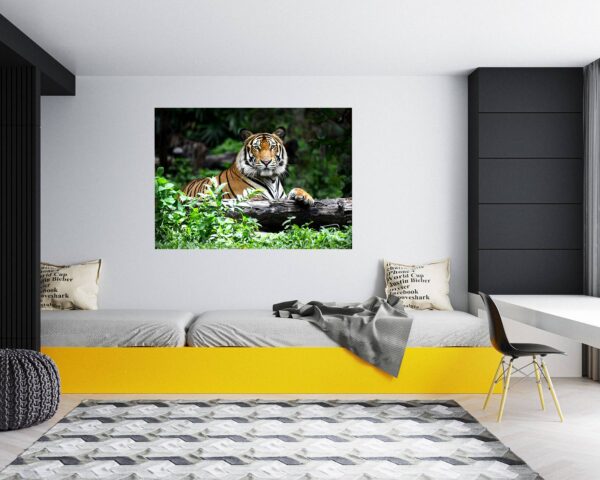 Tiger Wall Sticker - Animal Wall Decal, Self Adhesive Wall Sticker, Vinyl Wall Decor, Animal Print