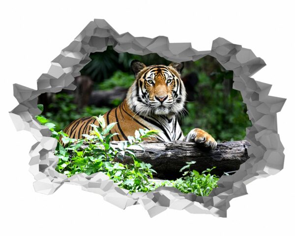 Tiger Wall Sticker - Animal Wall Decal, Self Adhesive Wall Sticker, Vinyl Wall Decor, Animal Print