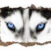 Husky Wall Art - Self Adhesive Wall Sticker, Animal Wall Sticker, Bedroom Wall Sticker, Removable Vinyl, Wall Decoration