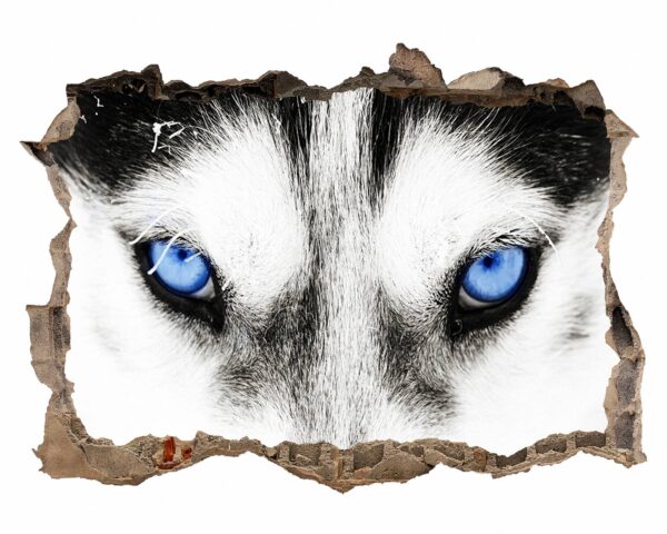 Husky Wall Art - Self Adhesive Wall Sticker, Animal Wall Sticker, Bedroom Wall Sticker, Removable Vinyl, Wall Decoration