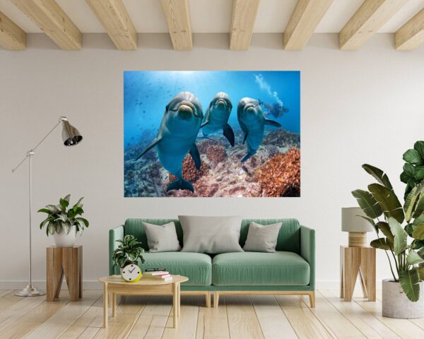 Dolphins Wall Decor - Self Adhesive Wall Sticker, Animal Wall Sticker, Bedroom Wall Sticker, Removable Vinyl, Wall Decoration