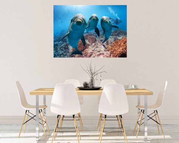 Dolphins Wall Decor - Self Adhesive Wall Sticker, Animal Wall Sticker, Bedroom Wall Sticker, Removable Vinyl, Wall Decoration