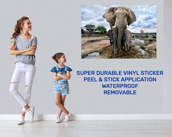 Dolphins Wall Decor - Self Adhesive Wall Sticker, Animal Wall Sticker, Bedroom Wall Sticker, Removable Vinyl, Wall Decoration