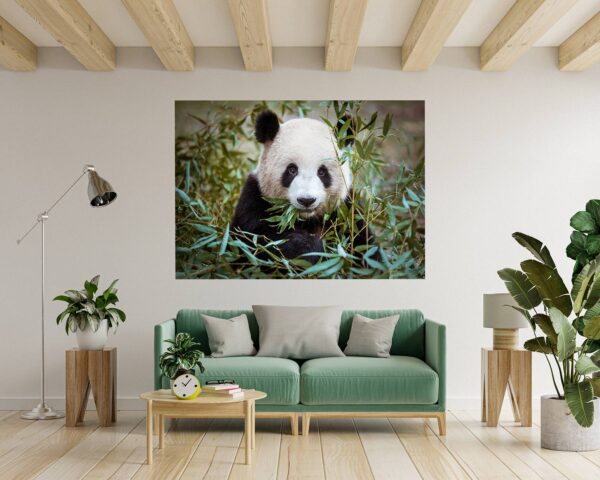 Panda Wall Decal - Self Adhesive Wall Sticker, Animal Wall Sticker, Bedroom Wall Sticker, Removable Vinyl, Wall Decoration