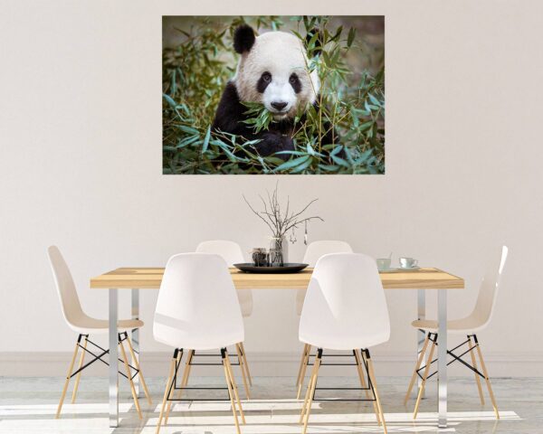 Panda Wall Decal - Self Adhesive Wall Sticker, Animal Wall Sticker, Bedroom Wall Sticker, Removable Vinyl, Wall Decoration