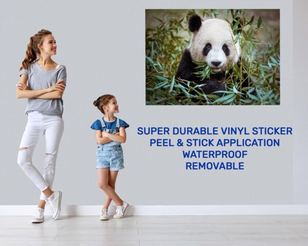 Panda Wall Decal - Self Adhesive Wall Sticker, Animal Wall Sticker, Bedroom Wall Sticker, Removable Vinyl, Wall Decoration