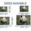 Panda Wall Decal - Self Adhesive Wall Sticker, Animal Wall Sticker, Bedroom Wall Sticker, Removable Vinyl, Wall Decoration