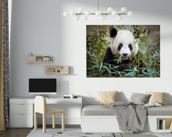 Panda Wall Decal - Self Adhesive Wall Sticker, Animal Wall Sticker, Bedroom Wall Sticker, Removable Vinyl, Wall Decoration