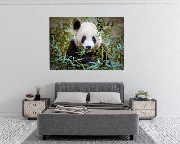 Panda Wall Decal - Self Adhesive Wall Sticker, Animal Wall Sticker, Bedroom Wall Sticker, Removable Vinyl, Wall Decoration