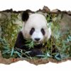 Panda Wall Decal - Self Adhesive Wall Sticker, Animal Wall Sticker, Bedroom Wall Sticker, Removable Vinyl, Wall Decoration