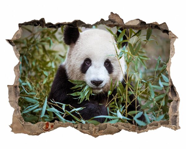 Panda Wall Decal - Self Adhesive Wall Sticker, Animal Wall Sticker, Bedroom Wall Sticker, Removable Vinyl, Wall Decoration