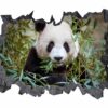 Panda Wall Decal - Self Adhesive Wall Sticker, Animal Wall Sticker, Bedroom Wall Sticker, Removable Vinyl, Wall Decoration