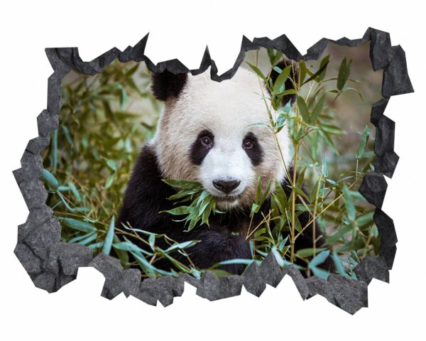 Panda Wall Decal - Self Adhesive Wall Sticker, Animal Wall Sticker, Bedroom Wall Sticker, Removable Vinyl, Wall Decoration