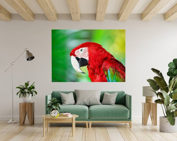 Parrot Wall Sticker - Self Adhesive Wall Sticker, Animal Wall Decal, Bedroom Wall Sticker, Removable Vinyl, Wall Decoration