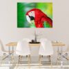 Parrot Wall Sticker - Self Adhesive Wall Sticker, Animal Wall Decal, Bedroom Wall Sticker, Removable Vinyl, Wall Decoration