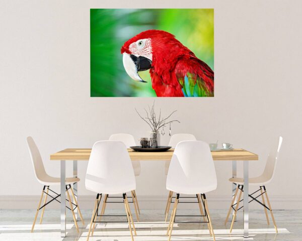 Parrot Wall Sticker - Self Adhesive Wall Sticker, Animal Wall Decal, Bedroom Wall Sticker, Removable Vinyl, Wall Decoration