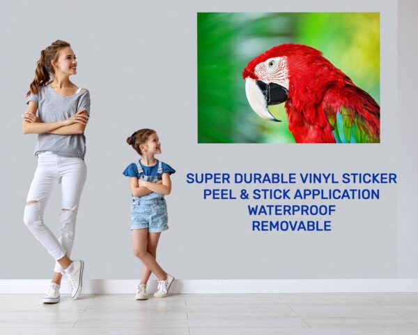 Parrot Wall Sticker - Self Adhesive Wall Sticker, Animal Wall Decal, Bedroom Wall Sticker, Removable Vinyl, Wall Decoration