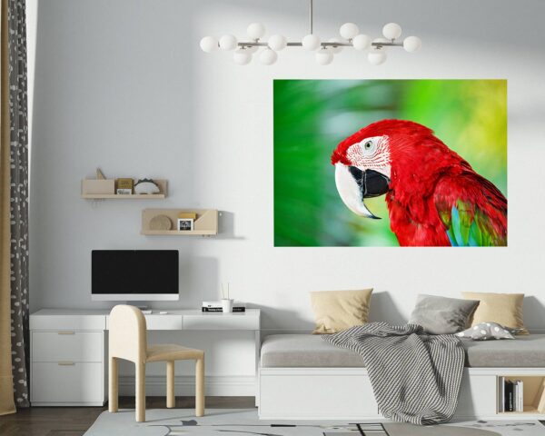 Parrot Wall Sticker - Self Adhesive Wall Sticker, Animal Wall Decal, Bedroom Wall Sticker, Removable Vinyl, Wall Decoration