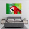 Parrot Wall Sticker - Self Adhesive Wall Sticker, Animal Wall Decal, Bedroom Wall Sticker, Removable Vinyl, Wall Decoration