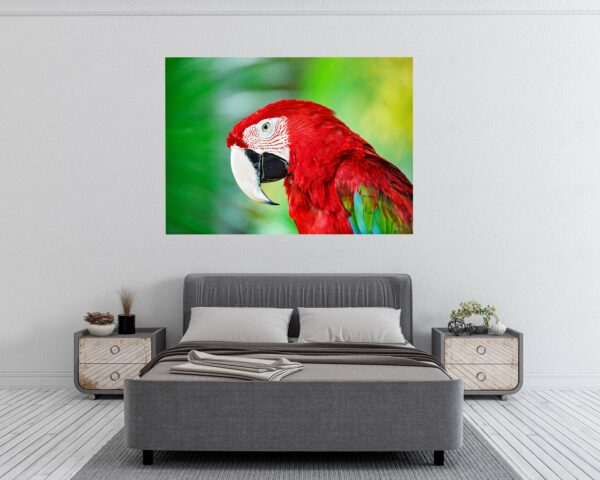 Parrot Wall Sticker - Self Adhesive Wall Sticker, Animal Wall Decal, Bedroom Wall Sticker, Removable Vinyl, Wall Decoration