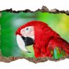 Parrot Wall Sticker - Self Adhesive Wall Sticker, Animal Wall Decal, Bedroom Wall Sticker, Removable Vinyl, Wall Decoration