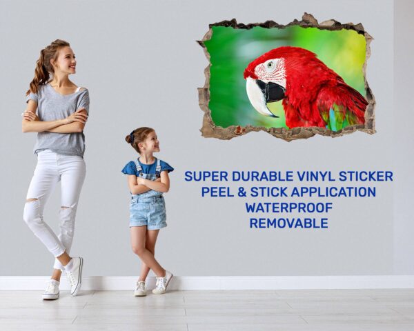 Parrot Wall Sticker - Self Adhesive Wall Sticker, Animal Wall Decal, Bedroom Wall Sticker, Removable Vinyl, Wall Decoration