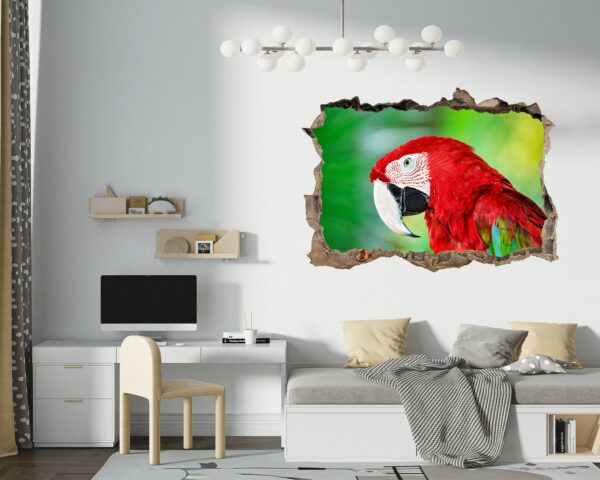 Parrot Wall Sticker - Self Adhesive Wall Sticker, Animal Wall Decal, Bedroom Wall Sticker, Removable Vinyl, Wall Decoration