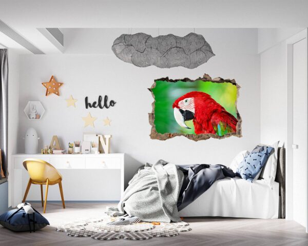 Parrot Wall Sticker - Self Adhesive Wall Sticker, Animal Wall Decal, Bedroom Wall Sticker, Removable Vinyl, Wall Decoration