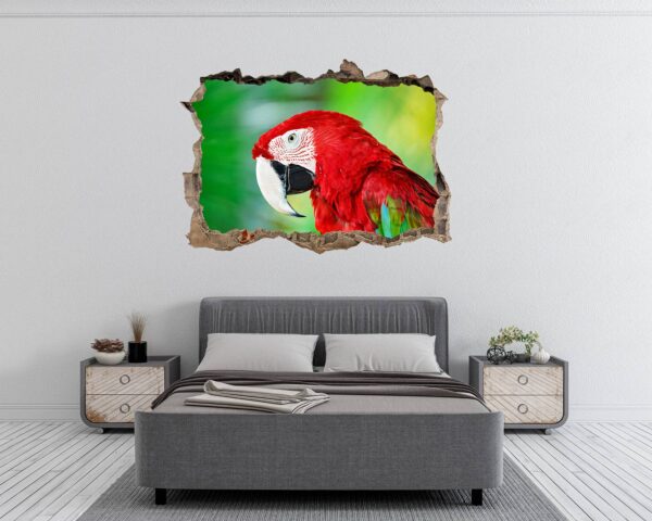 Parrot Wall Sticker - Self Adhesive Wall Sticker, Animal Wall Decal, Bedroom Wall Sticker, Removable Vinyl, Wall Decoration