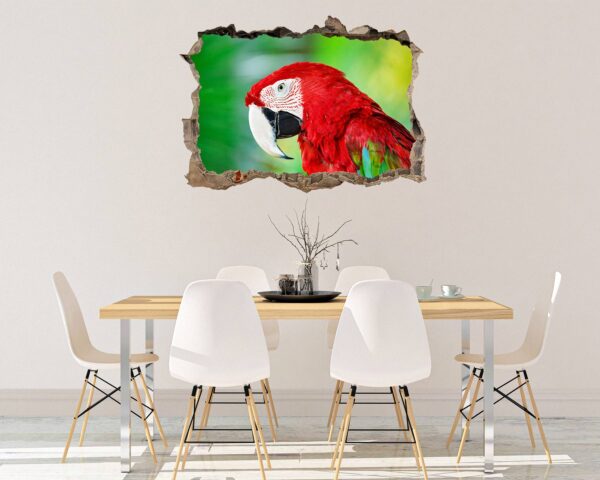 Parrot Wall Sticker - Self Adhesive Wall Sticker, Animal Wall Decal, Bedroom Wall Sticker, Removable Vinyl, Wall Decoration