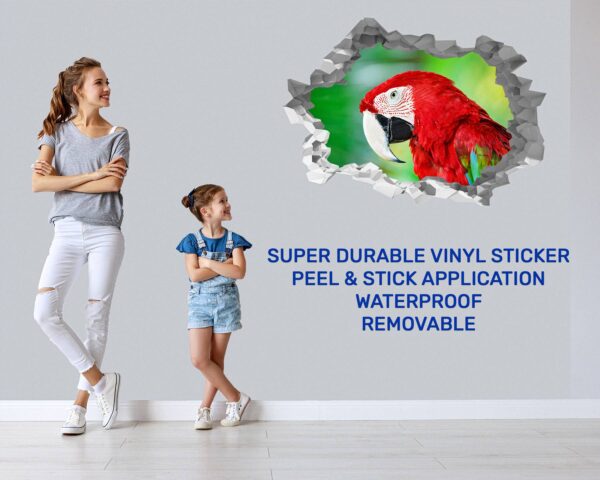 Parrot Wall Sticker - Self Adhesive Wall Sticker, Animal Wall Decal, Bedroom Wall Sticker, Removable Vinyl, Wall Decoration