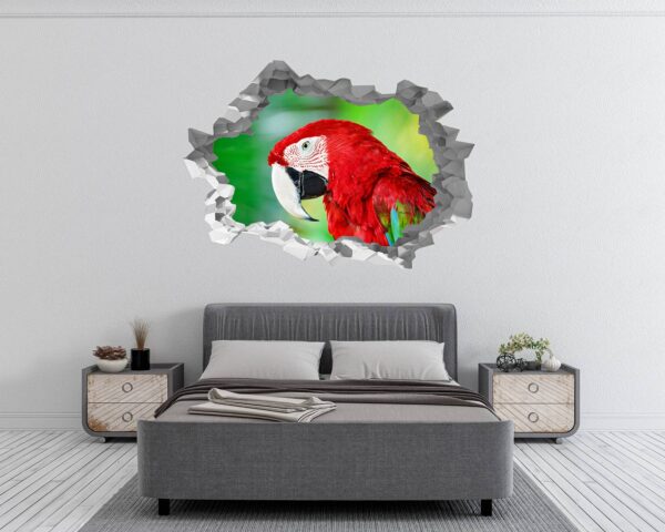 Parrot Wall Sticker - Self Adhesive Wall Sticker, Animal Wall Decal, Bedroom Wall Sticker, Removable Vinyl, Wall Decoration