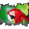 Parrot Wall Sticker - Self Adhesive Wall Sticker, Animal Wall Decal, Bedroom Wall Sticker, Removable Vinyl, Wall Decoration