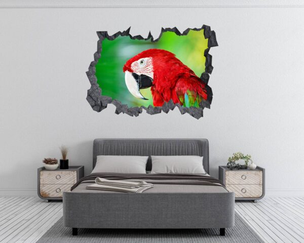 Parrot Wall Sticker - Self Adhesive Wall Sticker, Animal Wall Decal, Bedroom Wall Sticker, Removable Vinyl, Wall Decoration