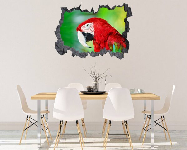 Parrot Wall Sticker - Self Adhesive Wall Sticker, Animal Wall Decal, Bedroom Wall Sticker, Removable Vinyl, Wall Decoration