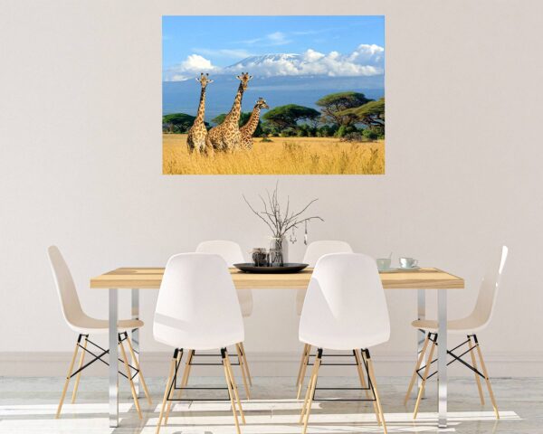 Giraffe Wall Sticker - Self Adhesive Wall Sticker, Animal Wall Decal, Bedroom Wall Sticker, Removable Vinyl, Wall Decoration