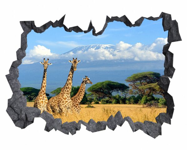 Giraffe Wall Sticker - Self Adhesive Wall Sticker, Animal Wall Decal, Bedroom Wall Sticker, Removable Vinyl, Wall Decoration