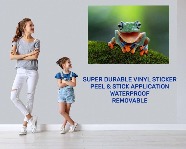 Frog Wall Decal - Self Adhesive Wall Sticker, Animal Wall Decal, Bedroom Wall Sticker, Removable Vinyl, Wall Decoration