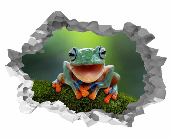 Frog Wall Decal - Self Adhesive Wall Sticker, Animal Wall Decal, Bedroom Wall Sticker, Removable Vinyl, Wall Decoration