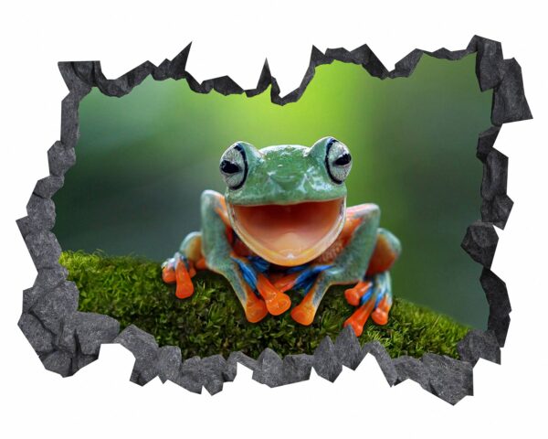 Frog Wall Decal - Self Adhesive Wall Sticker, Animal Wall Decal, Bedroom Wall Sticker, Removable Vinyl, Wall Decoration