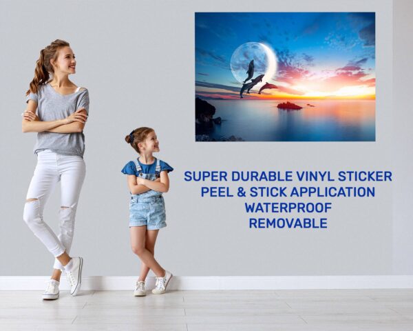 Dolphin Wall Decal - Self Adhesive Wall Sticker, Animal Wall Decal, Bedroom Wall Sticker, Removable Vinyl, Wall Decoration